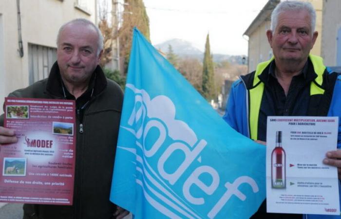 Elections to the Chamber of Agriculture of Vaucluse. The Modef list wants to “take agriculture out of the tunnel”