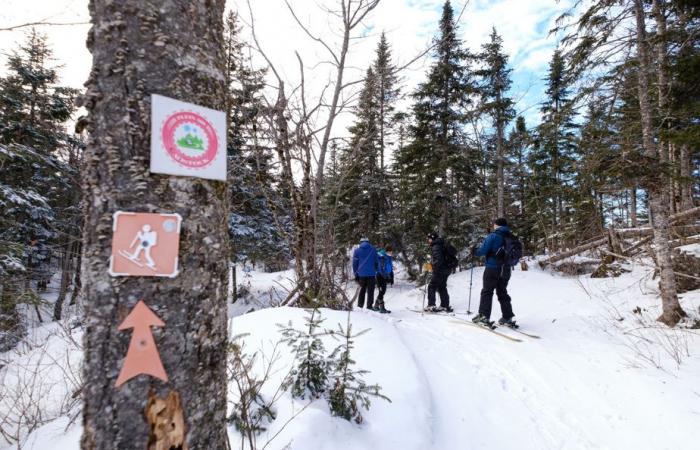 Skiing at the door | Amazing Mount Adstock