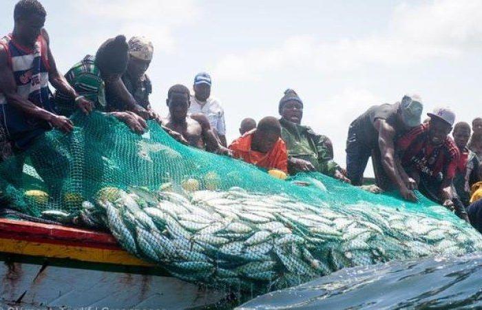 Non-renewal of fishing agreements with the European Union: Senegal, facing the challenge of transformation