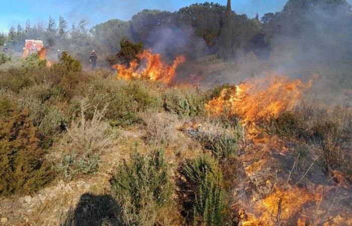 “Avoid calling 18 or 112”, a controlled burning operation will take place this Tuesday in a town in Aude