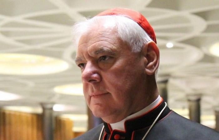 Cardinal Müller Calls ‘Conclave’ Film Hitlerian ‘Anti-Christian Propaganda’| National Catholic Register