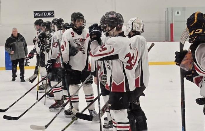 Hockey players called “Frogs” in Montreal?