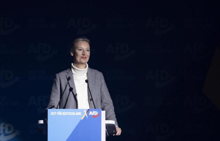 AfD: Weidel is in favor of including the super-rich in government