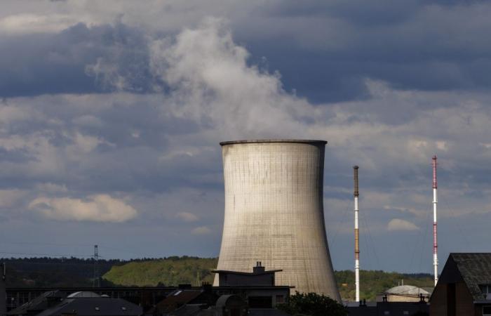 The Tihange 1 reactor shut down due to an anomaly: what consequences?