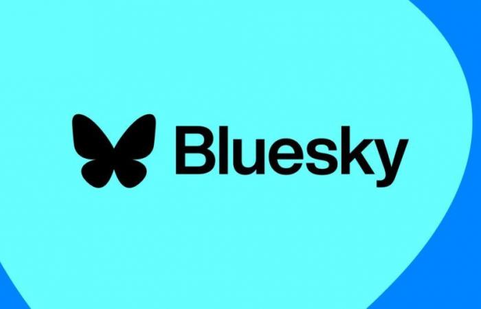 Bluesky and X launch new video feeds amid TikTok uncertainties