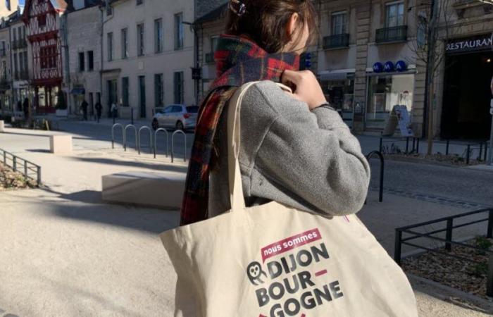 Côte-d’Or. Dijon launches its new “territorial brand”: what is it for?