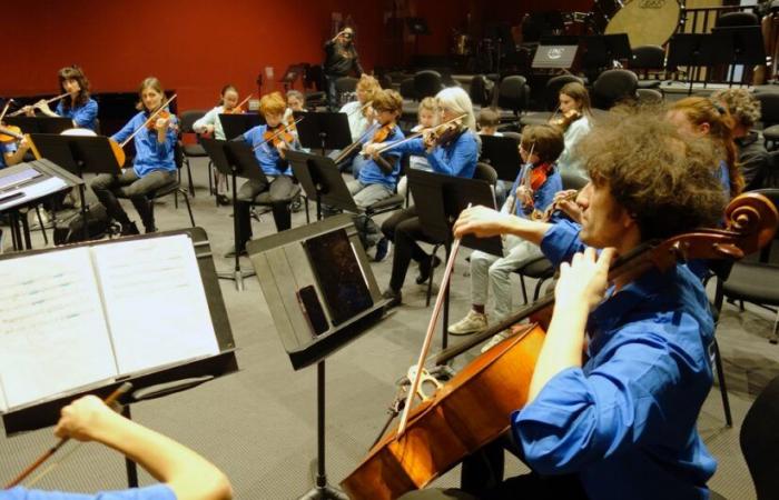 The Hummingbird Orchestra opens music to deaf children