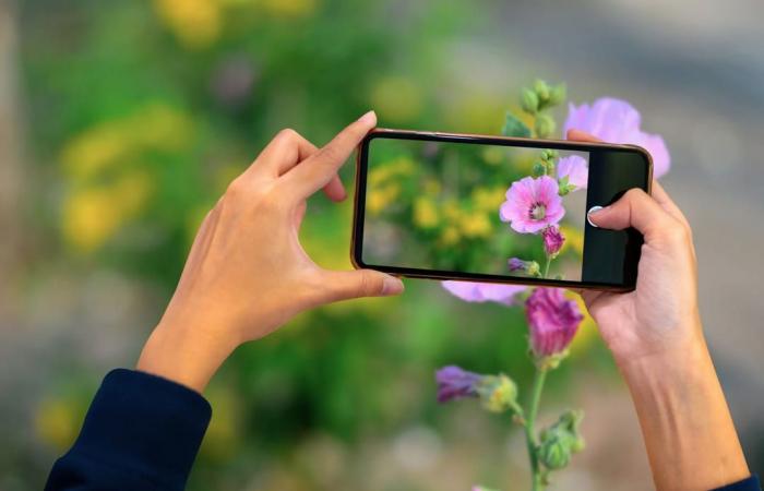 It's not an illusion, smartphone photos become worse over time