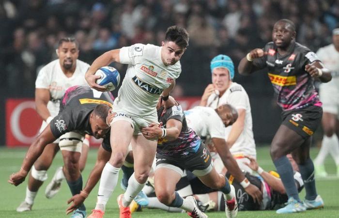 Champions Cup – “The Stormers, symbols of South African disinterest in the Champions Cup”: Midol's opinion