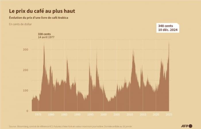 Brazil: when drought causes the price of coffee to soar