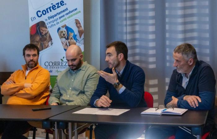 Corrèze: the number of veterinarians remains stable