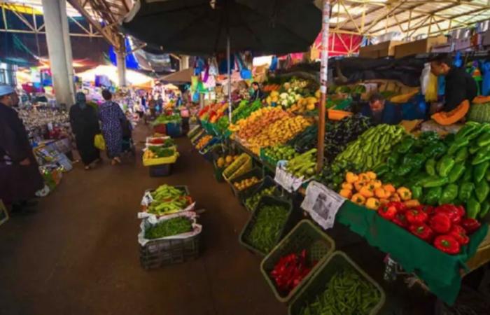 Morocco: the Minister of Agriculture targets agricultural price gaps | APAnews