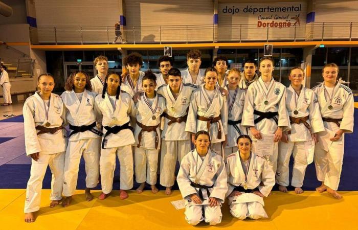 Alliance judo Dordogne Périgord: the cadets distinguished themselves