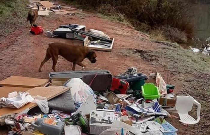 A filthy wild deposit discovered near a lake in Lot-et-Garonne, the depositary has been identified