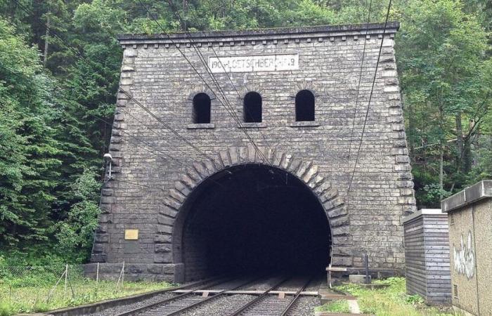 Repairs to the Lötschberg tunnel are expected to cost between two and three million – rts.ch