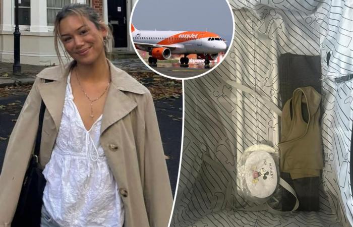 Passenger stunned after $2,500 worth of designer goodies mysteriously disappear from her suitcase: ‘My heart sank’