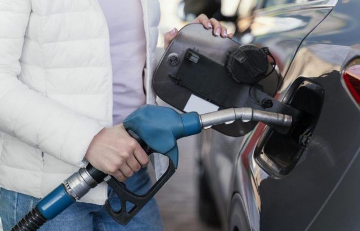 Fuels: the latest figures for the sector (Competition Council)