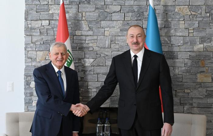 President Aliyev meets his Iraqi counterpart in Davos UPDATED VIDEO