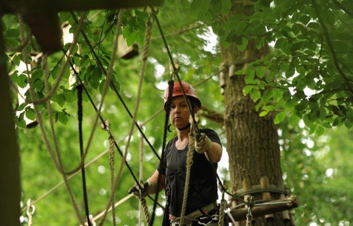 Indre-et-Loire. A treetop adventure course soon to be installed near Tours?