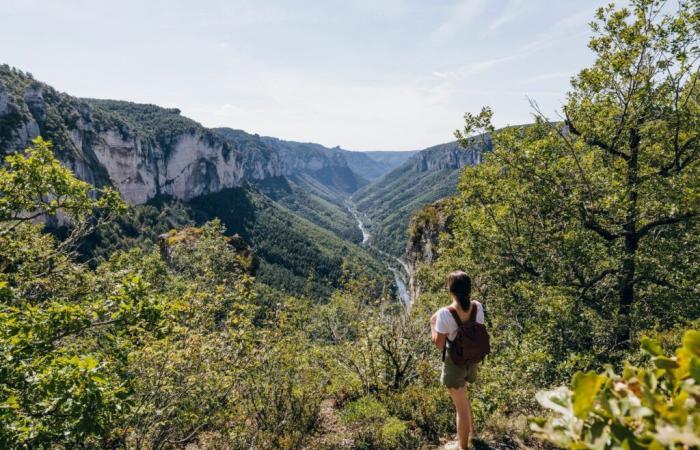 10 lodgings where you can telework in Lozère — Chilowé