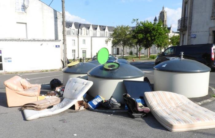 Untimely dumping of garbage will be expensive in Bocage Bressuirais