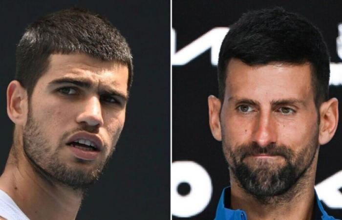 Carlos Alcaraz weighs in as suspicions over Novak Djokovic injury grow | Tennis | Sport