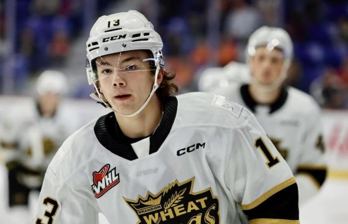 Specimen blocks NHL scouts’ lists