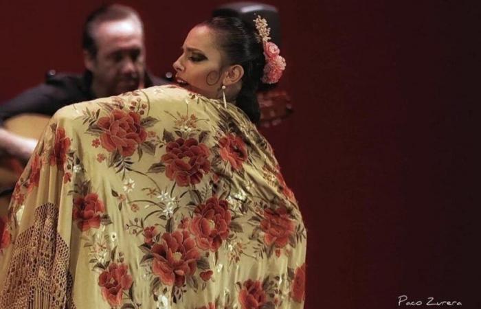 Arte Flamenco offers three shows and an exhibition