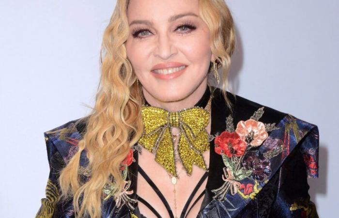 Madonna and several other international celebrities protest against the Trump administration on social networks