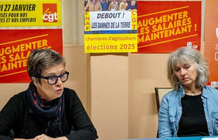 Elections to the Chamber of Agriculture in Aude: the CGT fights against the invisibility of agricultural employees