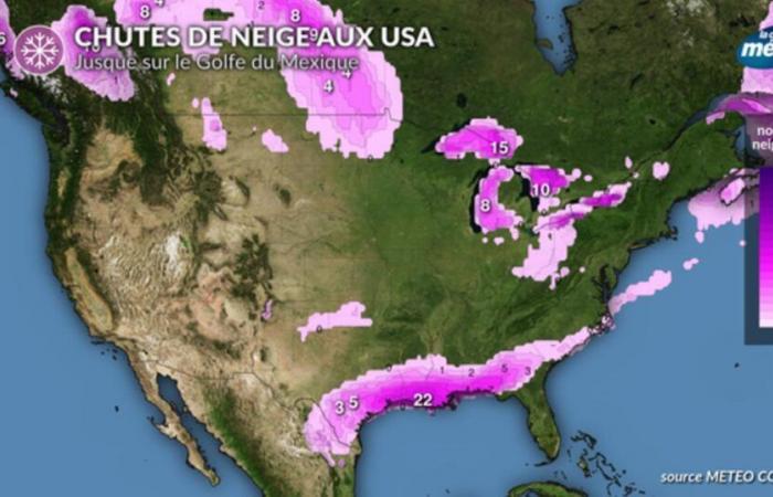 American cold snap: historic snowfall on the Gulf of Mexico