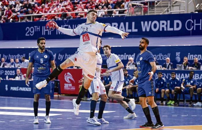 “It could only be him”: Ludovic Fabregas, the new captain of the French handball team, is unanimously unanimous