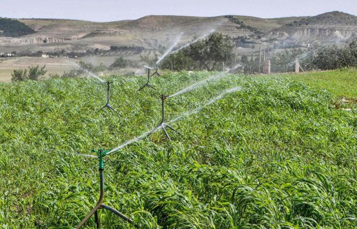 Morocco accelerates the transition to solar energy for agricultural irrigation