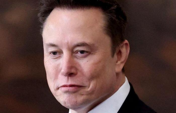 Elon Musk's 'government efficiency' department challenged in court