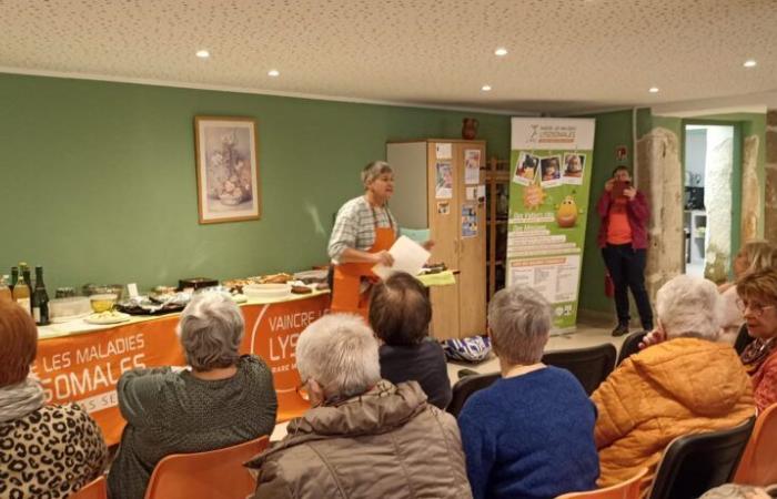 Annual review for volunteers Drôme Ardèche – Overcoming Lysosomal Diseases