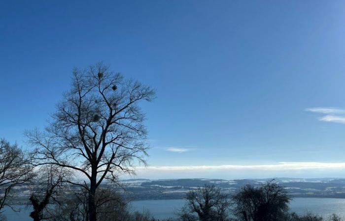 A trip between nature and military history at Mont-Vully