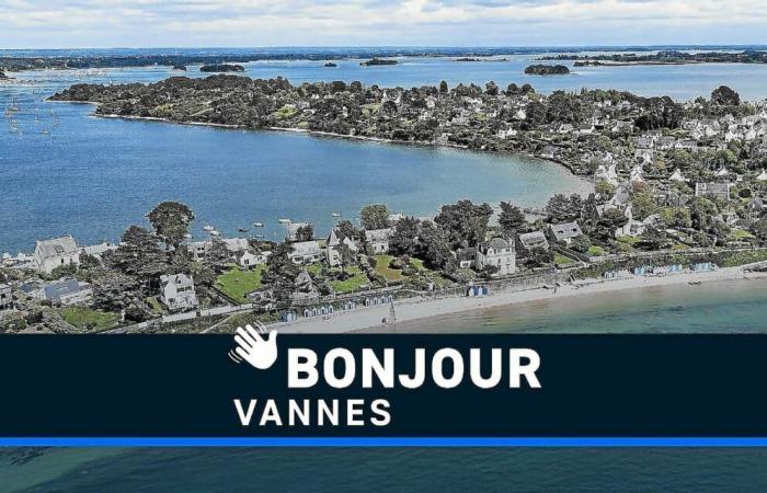 8 km of traffic jams, protection of the Gulf of Morbihan, Breton and Gallo… Hello Vannes!