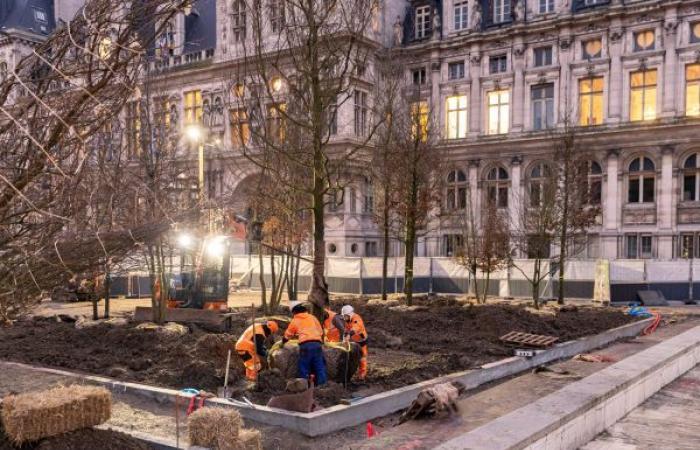 Paris and its urban forest madness