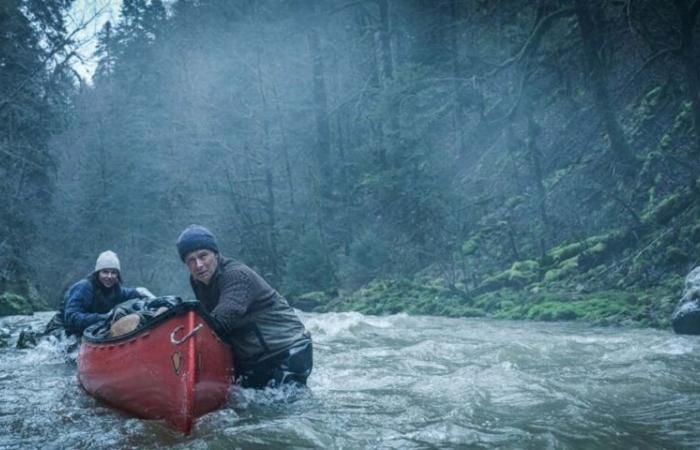 Movie theater. Should you go see “Un Ours dans le Jura”, the scathing comedy by Franck Dubosc?