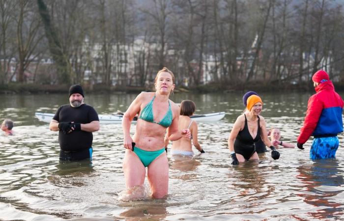 “I've never been so cold in my life, it's like walking into a fridge”: 40 frosty Namur residents throw themselves into… the Meuse! (video)