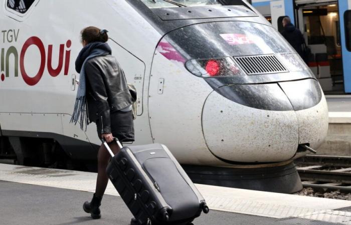 Price of train tickets: the TGV is a mode of transport mainly used by the richest