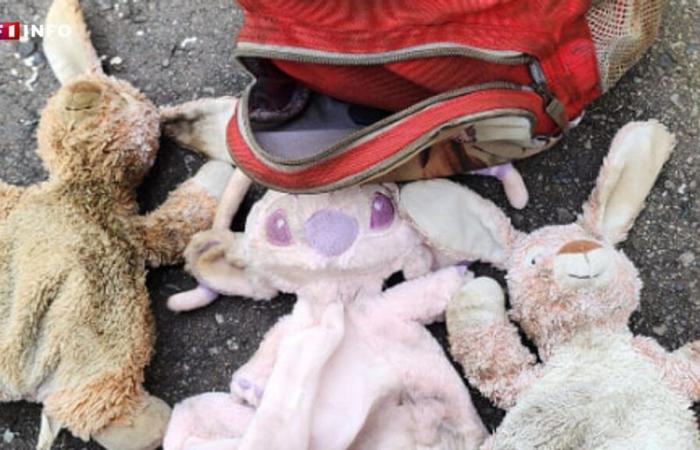 “Miracle” in Moselle: a mother finds her autistic daughter’s cuddly toy in her stolen and burned car