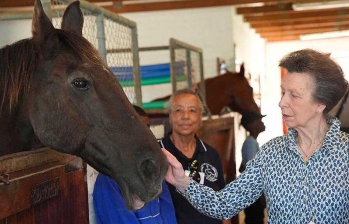 Princess Anne begins her trip to South Africa alone