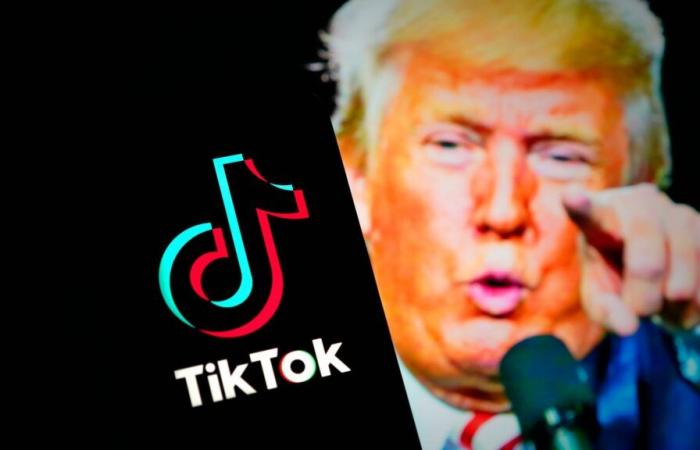 Trump says he’s open to TikTok sale to Elon Musk or Larry Ellison