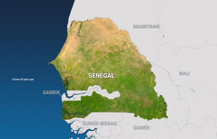 Senegal: strengthening the management of public enterprises