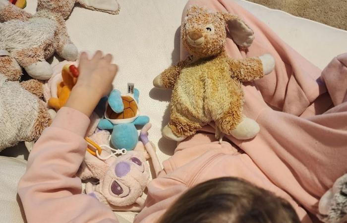 Her vehicle stolen and burned, she finds her autistic daughter’s cuddly toy in the back seat