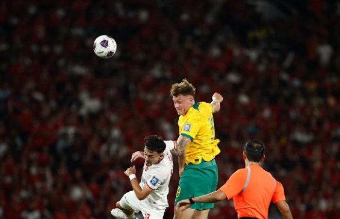 Socceroos coach Tony Popovic praises captain Maty Ryan’s handling of being dropped