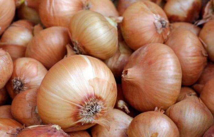 Suspension of onion imports into Senegal from January 25, 2025