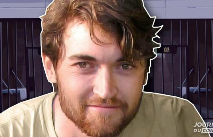 Will Donald Trump actually free Ross Ulbricht? Bets explode on Polymarket