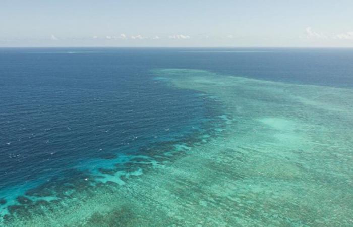 in Mayotte, Chido also hit the seabed